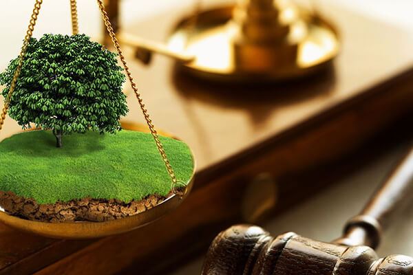 ЮК-АРМАДА-Захист прав орендаря в земельних спорах Актуальна судова практика